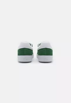Кроссовки Baseshot Lacoste, темно-зеленый