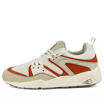 Кроссовки blaze of glory 'vaporous grey warm chestnut' Puma, серый