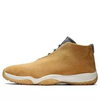 Кроссовки будущего Air Jordan, коричневый