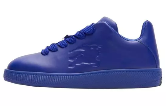 Кроссовки Burberry Skateboarding Shoes Men Low-top Blue, синий