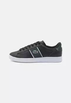 Кроссовки CARNABY Lacoste, черный