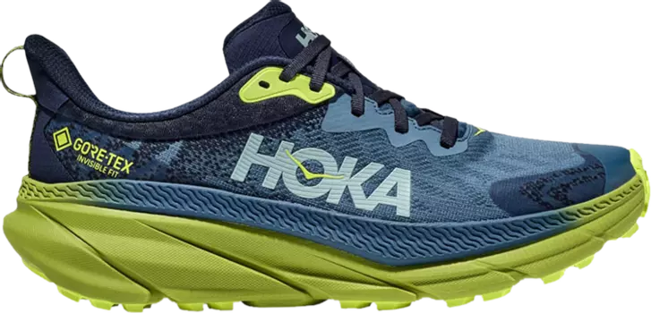 Кроссовки Challenger ATR 7 GORE-TEX 'Outer Space Dark Citron', синий