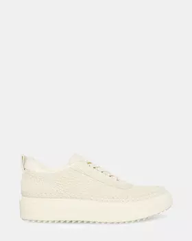 Кроссовки Charlie-W Steve Madden, мультиколор