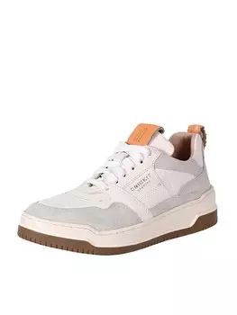 Кроссовки Crickit OLINDA, цвет Kitt/Light Beige