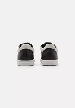 Кроссовки CUPSOLE LACE UP Calvin Klein, черный