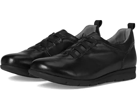 Кроссовки David Tate Bell, черный