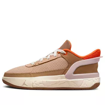 Кроссовки day 1 easyon 'dark driftwood' Air Jordan, мультиколор