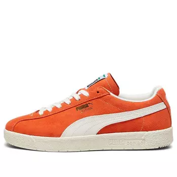 Кроссовки delphin 'fall foliage frosted ivory' Puma, мультиколор