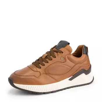 Кроссовки Denbroeck, цвет Cognac