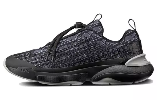 Кроссовки Dior B24, черный