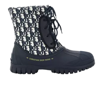 Кроссовки Dior Wmns D-Venture, синий