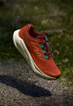 Кроссовки для бега AERO BLAZE 3 GRVL Salomon, красный