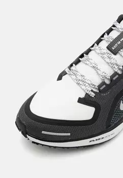 Кроссовки для бега AIR PEGASUS 41 GTX Nike Performance, черный