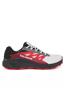 Кроссовки для бега Alphaglide Gore-Tex L47802200 Salomon, серый
