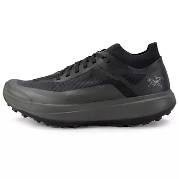 Кроссовки для бега по пересеченной местности Arc'Teryx Sylan, цвет Black/Shark
