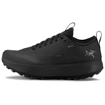 Кроссовки для бега по пересеченной местности Arc'Teryx Sylan GTX, цвет Black/Black