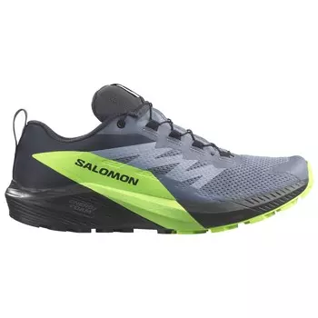 Кроссовки для бега по пересеченной местности Salomon Sense Ride 5 GTX, цвет Flint Stone/Black/Green Gecko