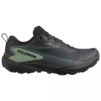 Кроссовки для бега по пересеченной местности Salomon Genesis GORE-TEX, цвет Black/Agave Green/Urban Chic