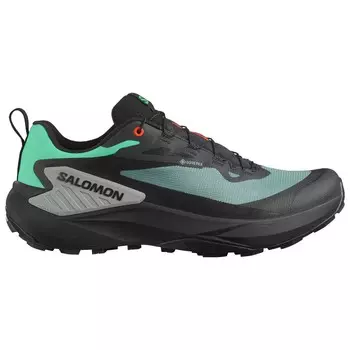 Кроссовки для бега по пересеченной местности Salomon Genesis GORE-TEX, цвет North Atlantic/Black/Sharkskin
