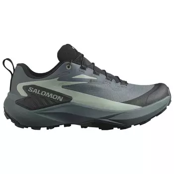 Кроссовки для бега по пересеченной местности Salomon Genesis GORE-TEX, цвет Turbulence/Black/Green Milieu