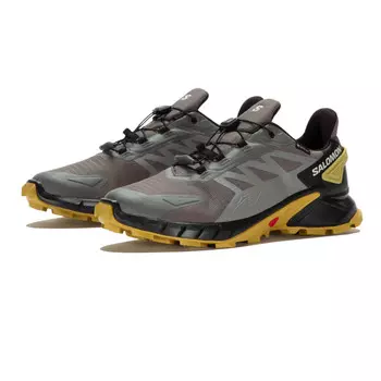 Кроссовки для бега Salomon Supercross 4 GORE-TEX Trail, серый