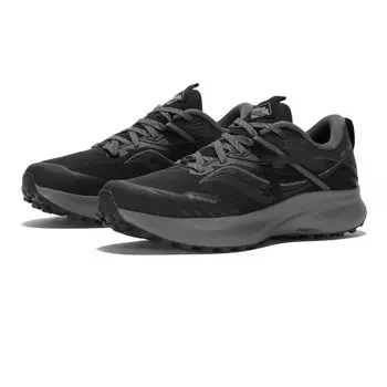 Кроссовки для бега Saucony Ride 15 TR GORE-TEX Trail, черный