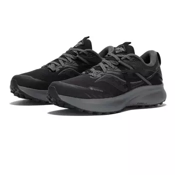 Кроссовки для бега Saucony Ride 15 TR GORE-TEX Trail, черный