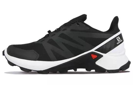 Кроссовки для походов мужские низкие черные Salomon