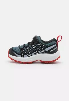 Кроссовки для походов Xa Pro V8 Unisex Salomon, цвет stormy weather/zen blue/goji berry