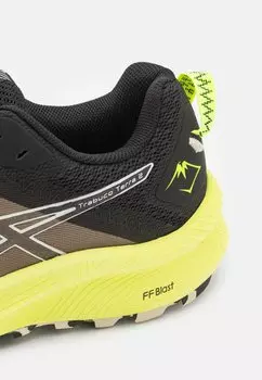 Кроссовки для трейлраннинга Trabuco Terra 2 ASICS, черный/овсяный