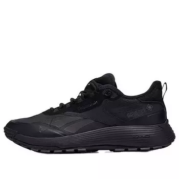Кроссовки dmx trail gore-tex 'black' Reebok, черный
