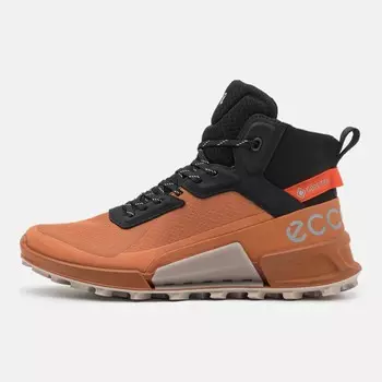 Кроссовки Ecco Biom Mountain W, sierra/black