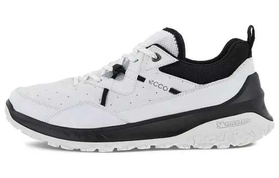 Кроссовки Ecco Casual Shoes Women's Low-Top White