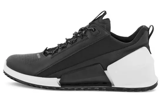 Кроссовки ecco Striding 2.0 Series Lifestyle Shoes Men Low-top Black, черный