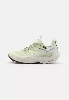 Кроссовки ELIXIR ACTIV GTX Salomon, цвет celadon green/glacier gray/phantom