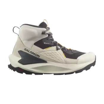 Кроссовки Elixir Mid GORE-TEX Salomon, серый