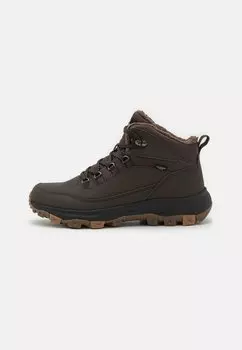 Кроссовки Everquest Texapore Mid Jack Wolfskin, цвет cold coffee