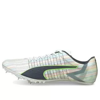 Кроссовки evo speed tokyo future 2 spectra 'black white green' Puma, черный