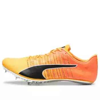 Кроссовки evospeed brush 6 'sun stream black' Puma, мультиколор