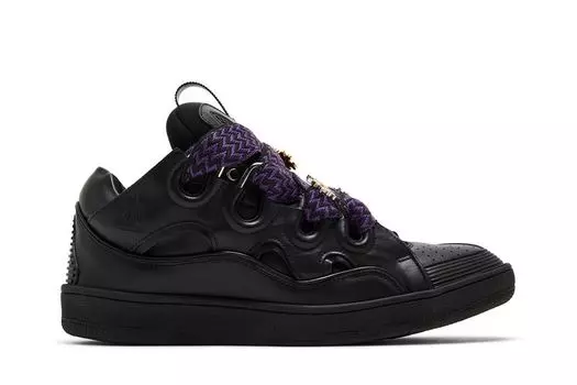 Кроссовки Future x Lanvin Curb 3.0 'Black Purple', черный