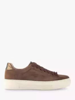 Кроссовки Gabor Camrose Wide Fit Suede, цвет cacao/bronze