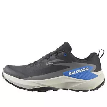 Кроссовки genesis gtx Salomon, черный