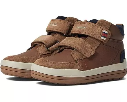 Кроссовки Geox Charz 3, цвет Brown/Navy