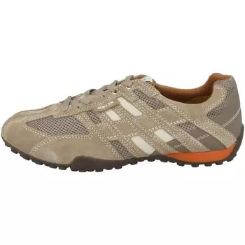 Кроссовки Geox, цвет bltenblattbeige