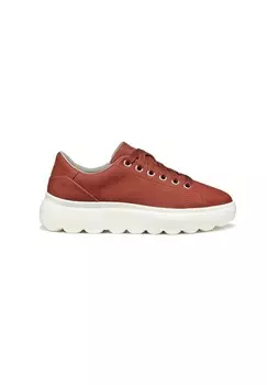 Кроссовки Geox, цвет Mottled Pink