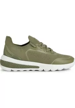 Кроссовки Geox D Spherica Actif, фисташковый