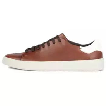 Кроссовки GEOX Skateboarding Shoes Men Low-top, цвет Amber