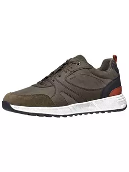 Кроссовки GEOX Sneakers, оливковый