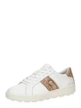 Кроссовки GEOX SPHERICA ECUB-1, белый