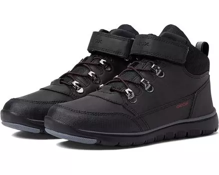 Кроссовки Geox Xunday 21, черный